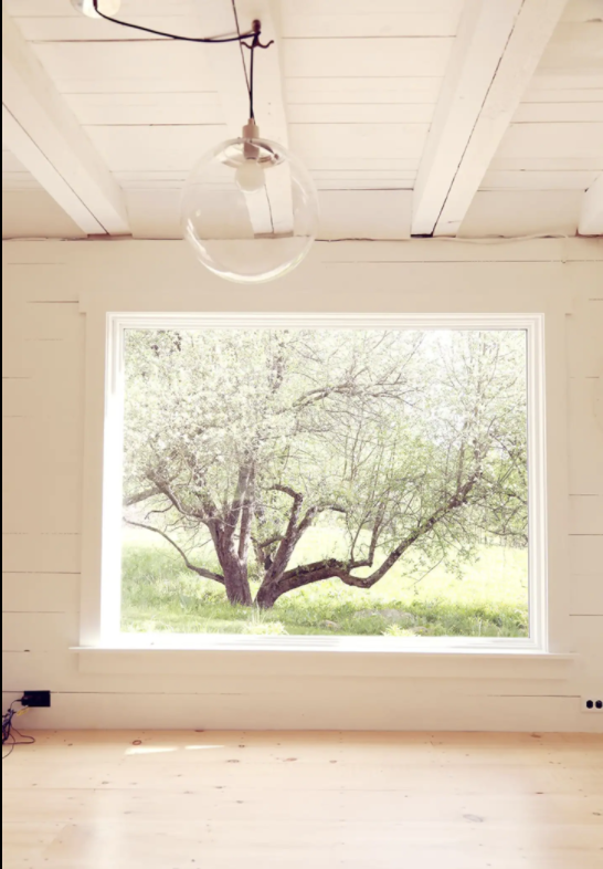 colt-barn-window