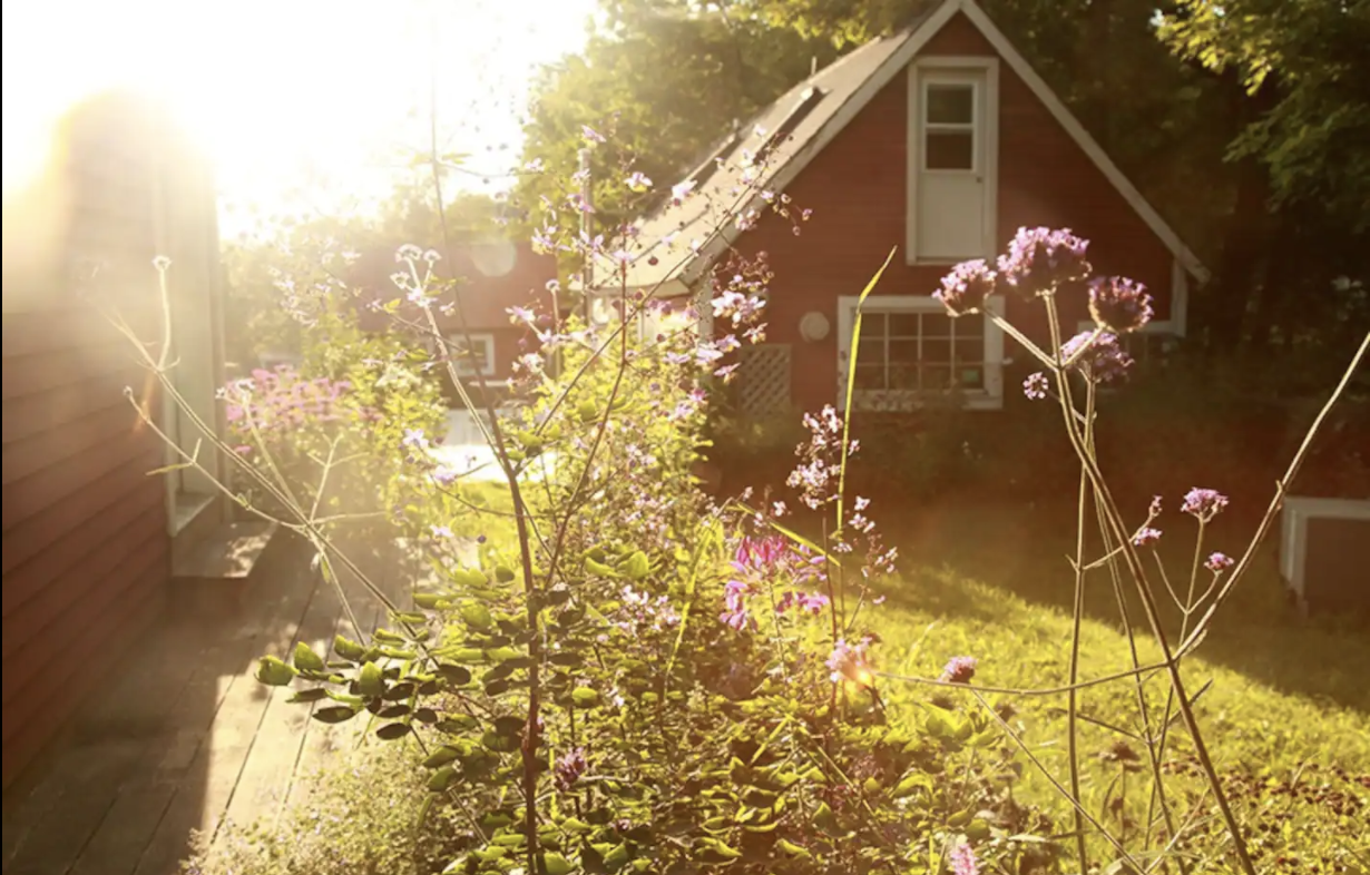 Summertime Gardens