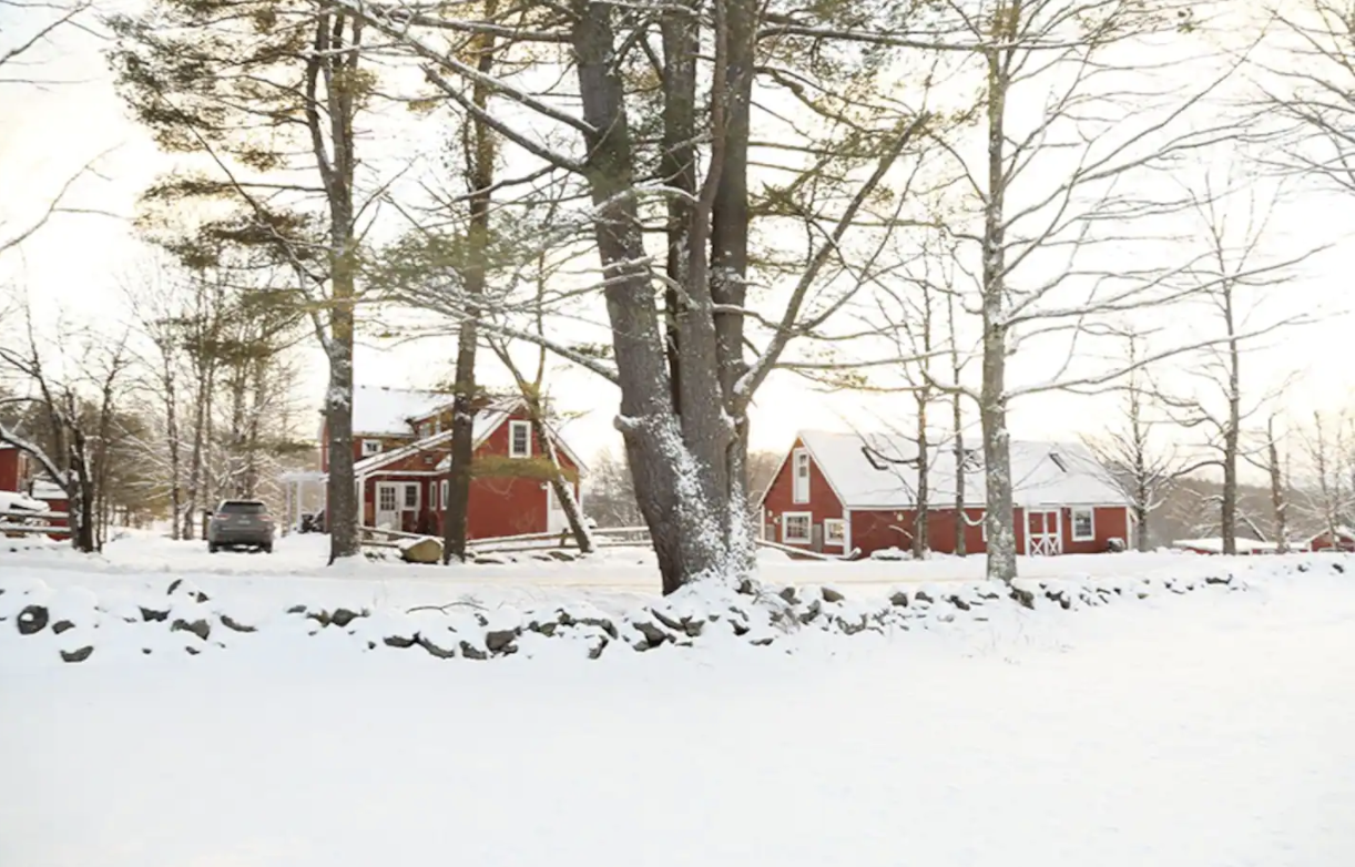 Wintertime at The Colt Barn